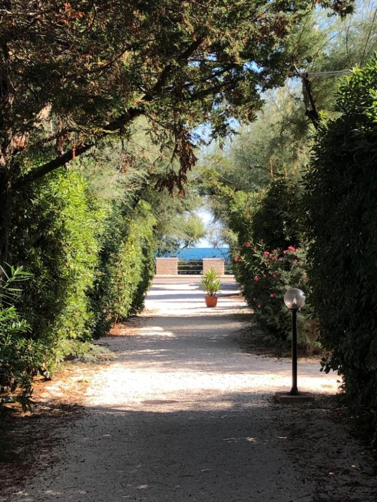 PHOTO-2019-10-12-20-03-01