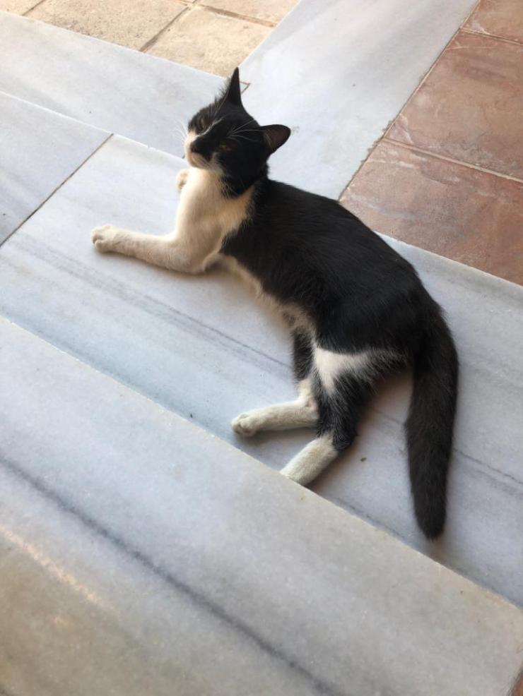 30e893ce-0630-4896-a28e-bb530f69da6c