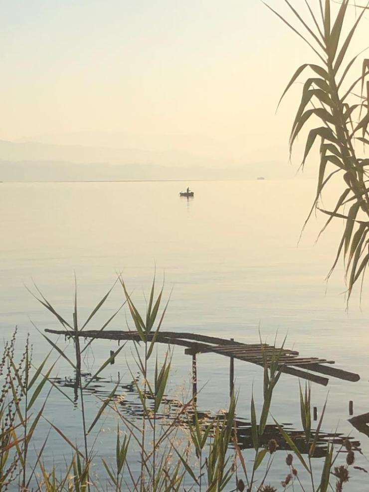 5ffa4325-6106-4ee6-872b-422bf9603f90